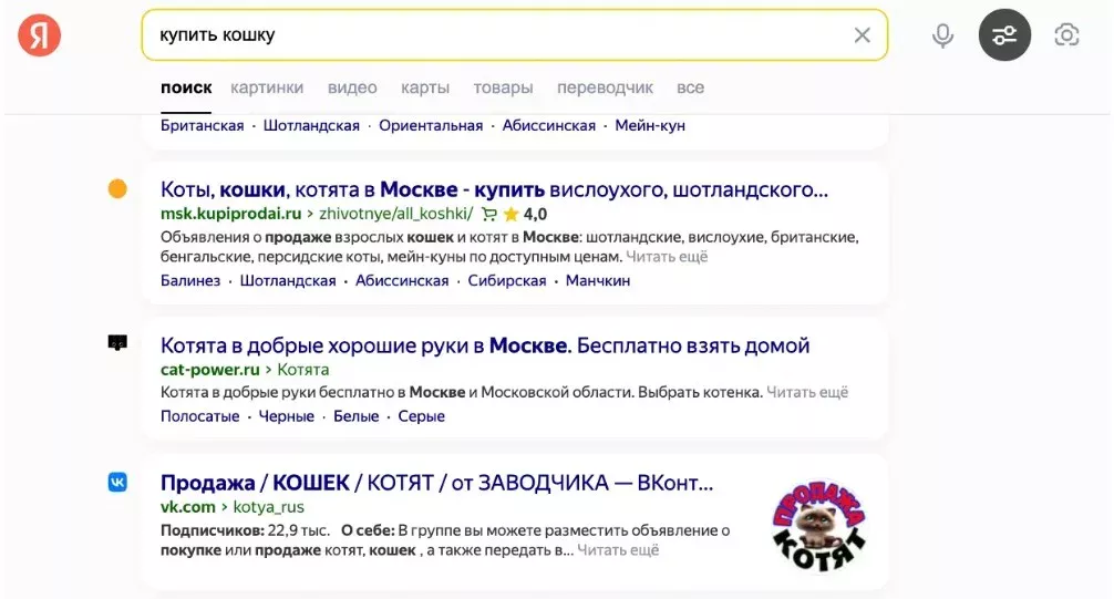 пример сниппета в поисковой выдаче